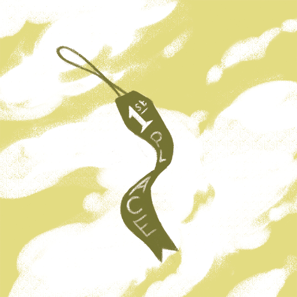 An illustration of a ribbon, emblazoned with the words '1st Place,' floating down over water.